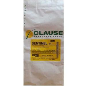clause sentinel f1 sweet corn seeds