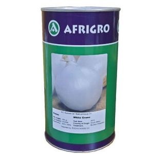 AFRIFRO White Grano onion Seeds