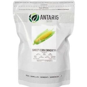 ANTARIS SEEDS EMINENT F1 Sweet Corn Seeds