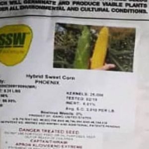 Abbot cobb Phoenix Hybrid sweet corn Seeds
