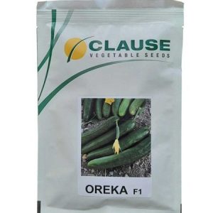 CLAUSE OREKA F1 Hybrid Cucumber Seeds