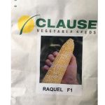 clause raquel f1 hybrid sweet corn seeds