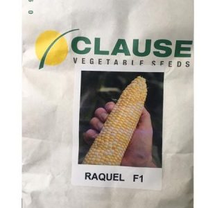 clause raquel f1 hybrid sweet corn seeds