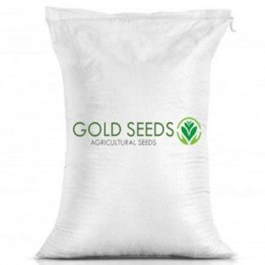 Coriander Seeds