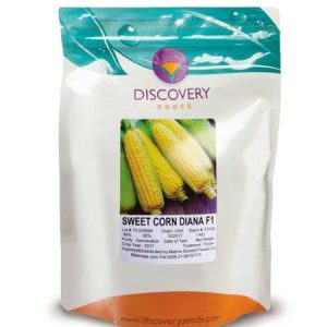 DISCOVERY seeds DIANA F1 Sweet Corn Seeds