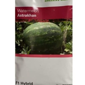Daehnfeldt Astrakhan Watermelon Seeds