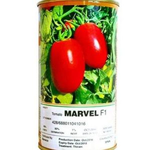 Diamondseeds MARVEL F1 Hybrid Tomato Seeds