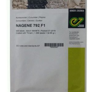 ENZA ZADEN NAGENE 792 F1 Cucumber Seeds