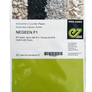 ENZA ZADEN NEGEEN F1 Cucumber Seeds