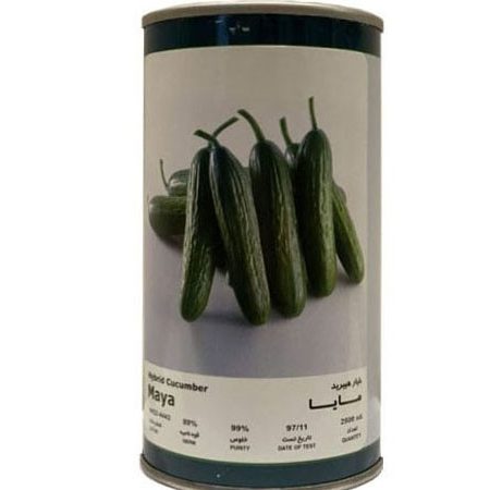 Falat Maya Hybrid Cucumber Seeds