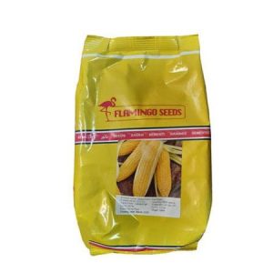 Flamingo Seeds Amyla F1 Sweet Corn Seeds