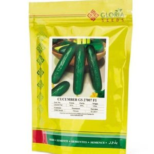 GLORIA SEEDS GS 27007 F1 Hybrid Cucumber Seeds