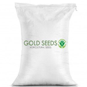Lettuce Seeds