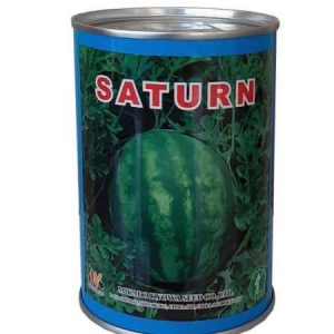 MIKADOKEOWA SEED SATURN Watermelon Seeds