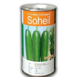 NONGWOO BIO Soheil F1 Hybrid Cucumber Seeds