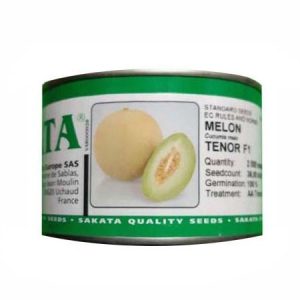 SAKATA TENOR F1 Melon Seeds