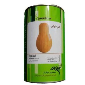 Saminbazr Squash Seeds