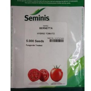 Seminis BERNETTA Hybrid Tomato Seeds
