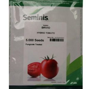 Seminis BRIVIO Hybrid Tomato Seeds