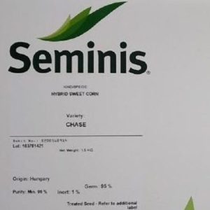 Seminis CHASE Hybrid Sweet Corn Seeds