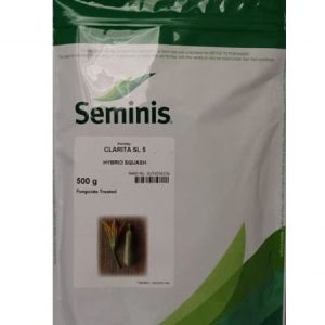 Seminis CLARITA SL 5 Hybrid Squash Seeds