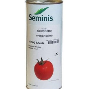 Seminis COMODORO Hybrid Tomato Seeds
