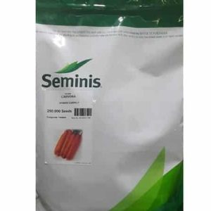 Seminis Carvora Carrot Seeds