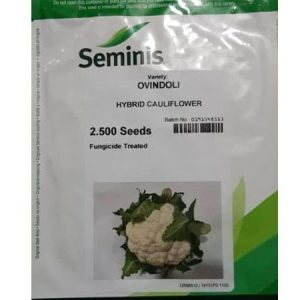 Seminis OVINDOLI Hybrid Cauliflower Seeds