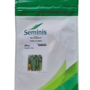 Seminis RS 2 N NADA F1 Hybrid Cucumber Seeds