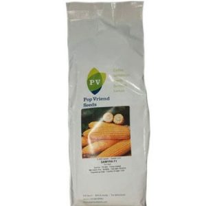 pop vriend seeds SAMYRA F1 Hybrid Sweet Corn Seeds