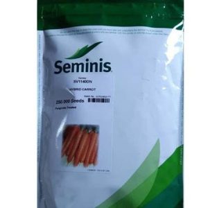 Seminis SV1140DN Hybrid Carrot Seeds
