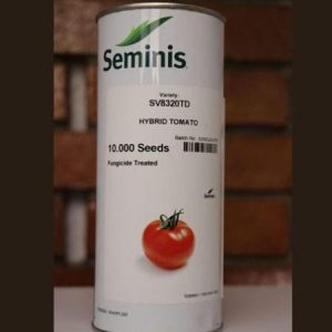 Seminis SV8320TD Hybrid Tomato Seeds