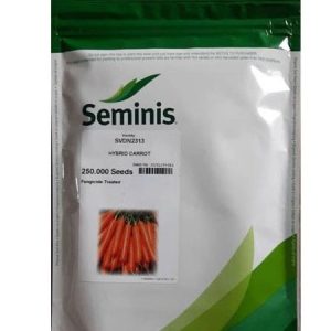 Seminis SVDN2313 Hybrid Carrot Seeds