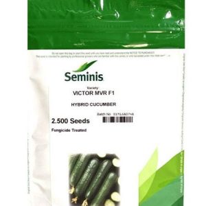 Seminis VICTOR MVR F1 Hybrid Cucumber Seeds