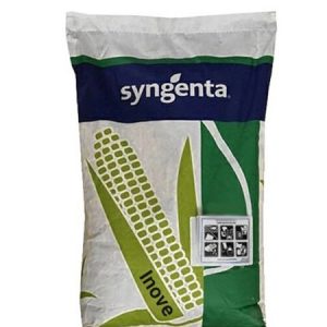 Syngenta Inove F1 Fodder Corn Seeds