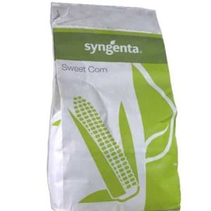 Syngenta Target F1 Sweet Corn Seeds