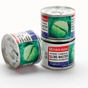 TAKII SEED GLOBE MASTER Hybrid Cabbage Seeds