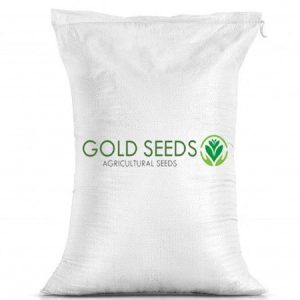 White Radish Seeds