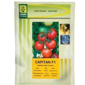 YUKSEL TOHUM CAPITAN F1 Hybrid Tomato Seeds