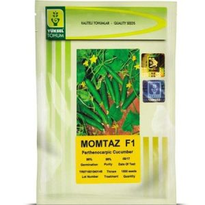 YUKSEL TOHUM MOMTAZ F1 Hybrid Cucumber Seeds