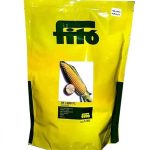 fito 1280 f1 sweet corn seeds