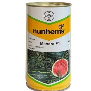 nunhems Menara F1 Watermelon Seeds