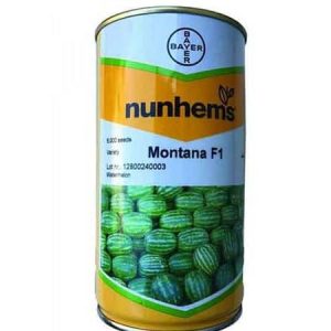 nunhems Montana F1 Watermelon Seeds