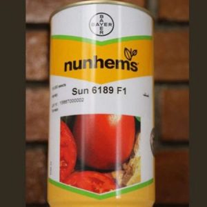 nunhems sun 6189 F1 Hybrid Tomato Seeds
