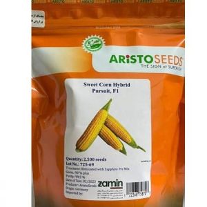aristo seeds pursuit f1 sweet corn seeds