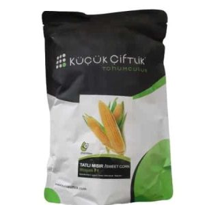 kc rocket f1 sweet corn seeds